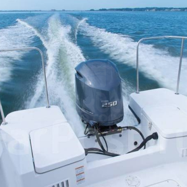 Лодочный мотор YAMAHA F250 HETX