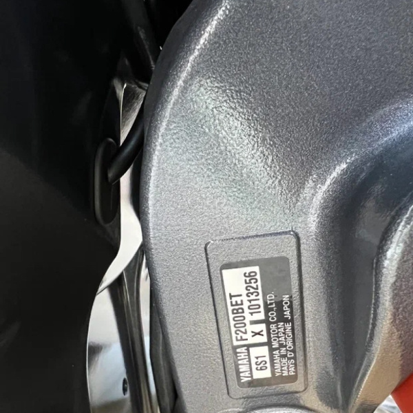 Лодочный мотор YAMAHA F200 BETX
